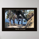 Search for catalina posters Santa catalina island