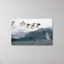 Recherche de pingouin mignon art Animaux