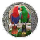 Recherche de perroquets boutons et poignées de porte Oiseaux