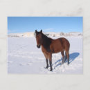 Recherche de noël cowboy cartes postales Hiver