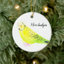 Search for green parrot ornaments Watercolor