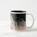 Recherche de intégrale tasses Nature
