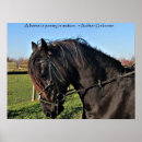 Recherche de frison posters Beau