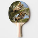 Recherche de faune raquettes ping pong Oiseaux