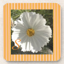 Search for stripe photography Pattern