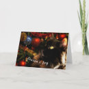 Search for black cat christmas cards Kitty