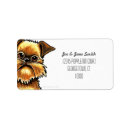 Search for griffon dog breed Cute