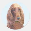 Search for irish setter dog stickers Red