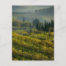 Recherche de viticulture cartes postales Ferme