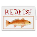 Recherche de rougets communs Brochet de mer