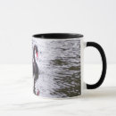 Recherche de cygne noir tasses Faune