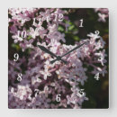 Search for fragrant art Lilac