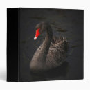 Search for beak binders Bird