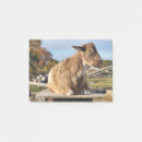Search for goat post it notes Animal