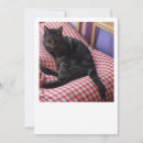 Search for pet birth announcement cards Cute