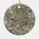 Search for fossil ornaments Archaeology