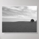 Search for praries Nature