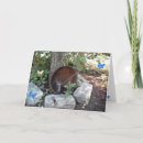 Search for fantasy animals cards Nature
