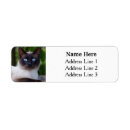 Search for crazy cat lady return address labels Feline