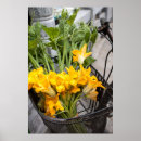 Search for baskets photography Flowers