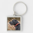 Search for black labradors keychains Outdoors