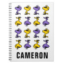 Recherche de lunettes soleil carnets Bois