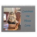 Search for maine calendars Maine coon cat