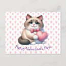 Recherche de chaton mignon cartes postales Capricieux