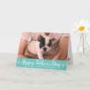 Search for frenchies cards For him