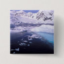 Search for expedition buttons Antarctica