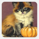 Search for ragdoll cat stickers Siamese
