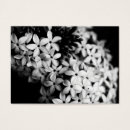 Recherche de chèques photographie Noir