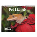 Search for gecko calendars Reptile
