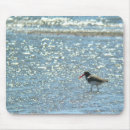 Search for birdwatching electronics Birding