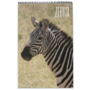 Search for zebra calendars Kenya