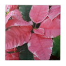 Recherche de roses de noël carreaux Fleur