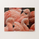 Recherche de assez puzzles Rose