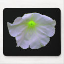 Search for petunias mousepads Green