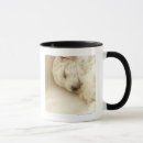 Search for building tools mugs Room