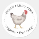 Search for vintage chickens stickers Rustic