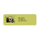 Search for grizzly return address labels Brown bear