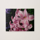 Search for hyacinth puzzles Flowers