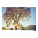 Search for scenic pillowcases Landscape