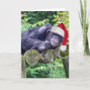 Search for monkey christmas cards Wildlife