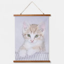 Search for tabbies art Orange tabby cat