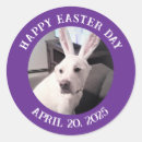 Search for easter funny stickers Rabbit