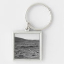 Search for panoramic keychains Tracks