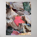 Recherche de reeder posters Nature