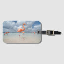 Recherche de tropiques bagages étiquettes Plage