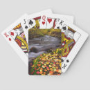 Recherche de california playing cards Danita delimont